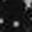 Black Floral Blackstar