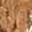 Medium Brown