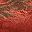 Brick Red
