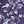 Purple Lux