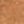 Medium Brown