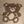 Tan Bear