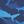 Dark Blue Sharks