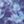 Plum Mystery Galaxy