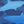 Dark Blue Sharks