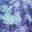 Plum Mystery Galaxy