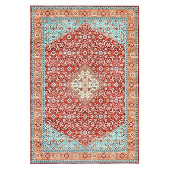 Garvee Machine Washable Vintage Distressed Area Rug Non Slip Pet Friendly Carpet for Home