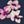 Scatter Floral
