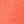 Bright Salmon