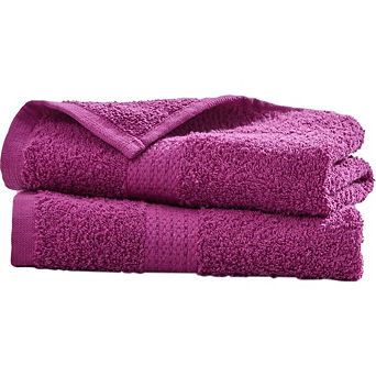 BrylaneHome BH Studio 2 pc Hand Towel Set