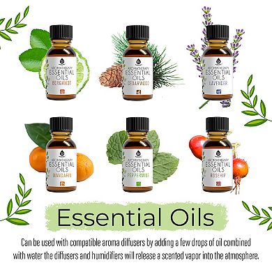 Pursonic Aromatherapy Lovers Triple 14-Pack Essential Oils Collection