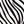 Black Zebra