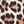 Cognac Leopard