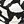Black Ivory Graphic