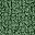 Forest Green Solid