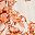 Ivory Rust Coral