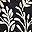 Black Ivy Floral