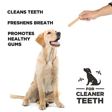 Pumpkin Hive Dental Chew Stick - Large - 7 oz.