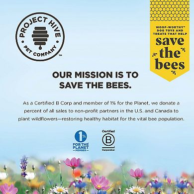 Pumpkin Hive Dental Chew Stick - Large - 7 oz.