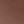 Medium Brown