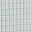 Mint White Check