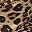 Leopard Print