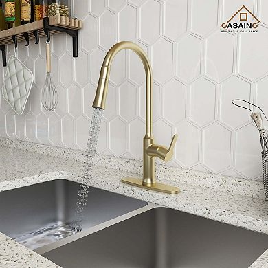 CASAINC 1.8 GPM Single-Handle Pull-Down Kitchen Faucet Single Hole Faucet