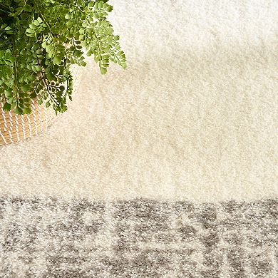 Nourison Pacific Shag Bordered Indoor Area Rug
