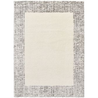 Nourison Pacific Shag Bordered Indoor Area Rug