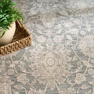 Nourison Outlines Floral Vintage Indoor Area Rug
