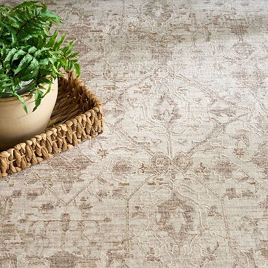Nourison Outlines Persian Indoor Rug