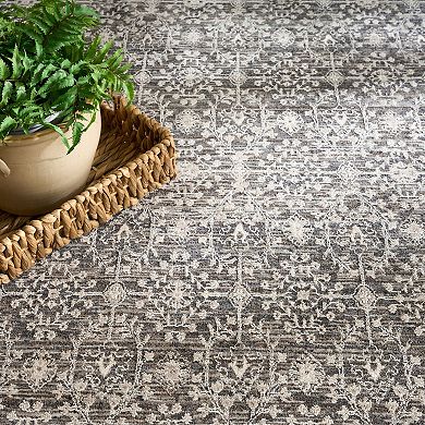 Nourison Outlines Vintage Floral Indoor Rug