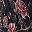 Black Scarlet Vine