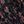 Black Scarlet Vine