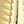 Gold Tone