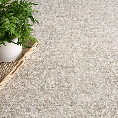 Nourison Home Enriched Vintage Indoor Area Rug