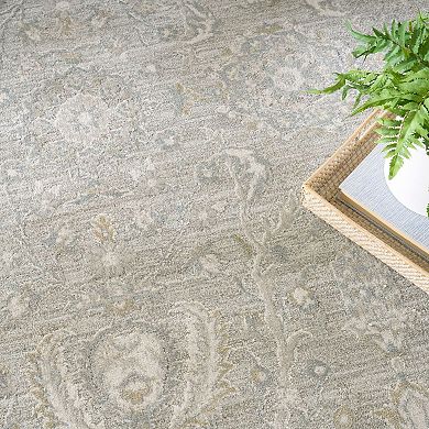Nourison Home Enriched Traditional Indoor Area Rug