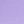 Purple Lotus
