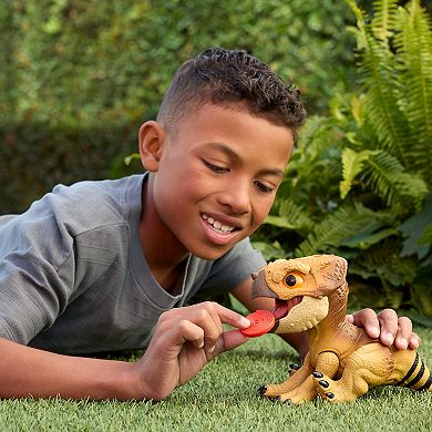 Mattel Jurassic World Aquilops Dolores Interactive Dinosaur Toy