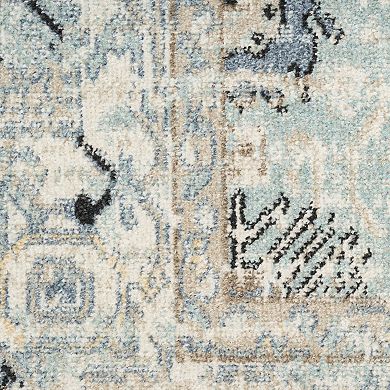 Nourison Washable Medallion Indoor Area Rug