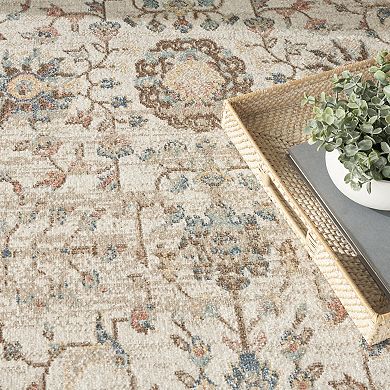 Nourison Traditional Washable Indoor Area Rug