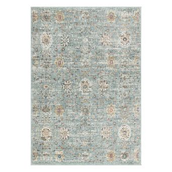 Nourison Traditional Washable Indoor Area Rug