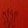 Joshua Tree