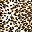 Brown Brushed Cheetah