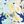 Blue Watercolor Floral