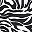 Black Abstract Zebra