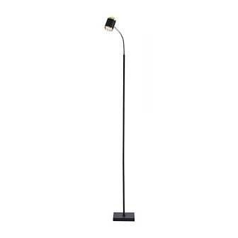 Dual Head Aurora Sunset Projector Floor Lamp