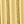 Gold Tone