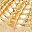 Gold Tone