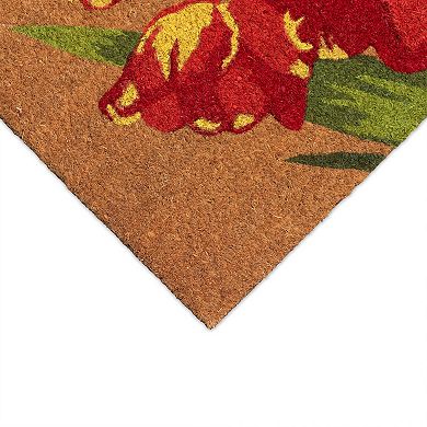 Liora Manne Natura Red Tulips Outdoor Doormat
